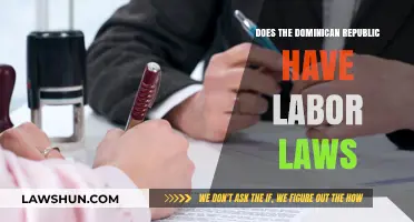 Understanding Dominican Republic Labor Laws: Rights, Regulations, and Worker Protections