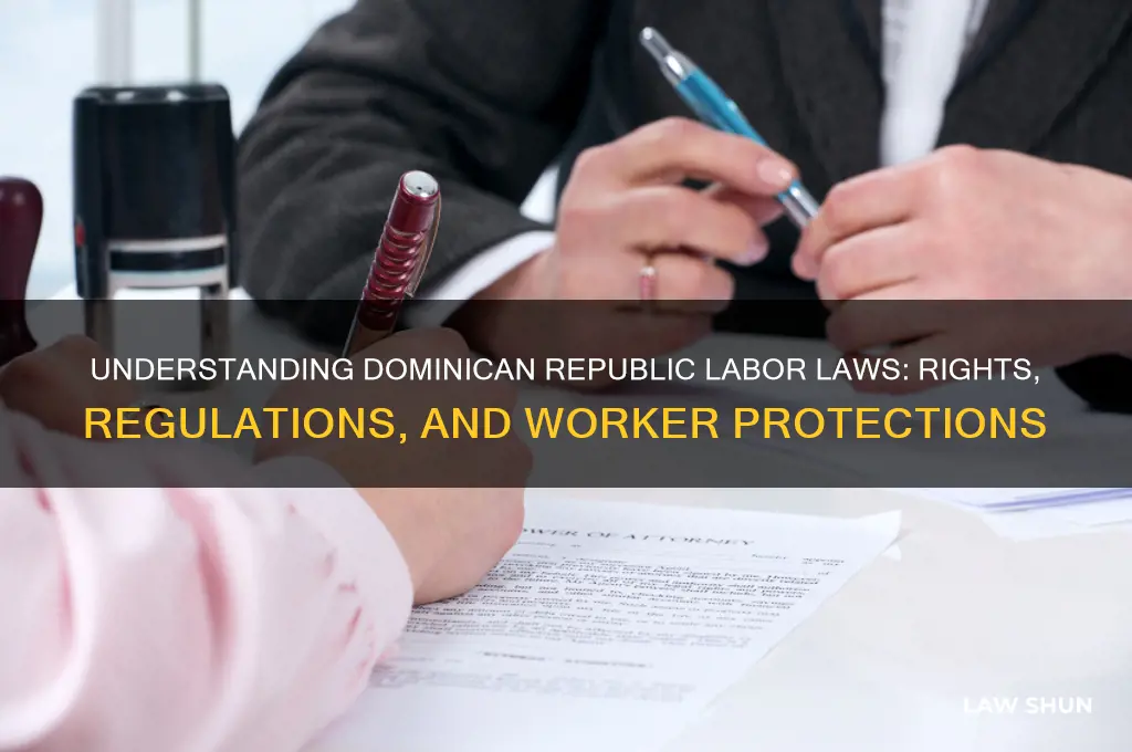 does the dominican republic have labor laws
