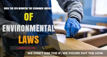 EPA's Role: Balancing Environmental Protection and Economic Consequences