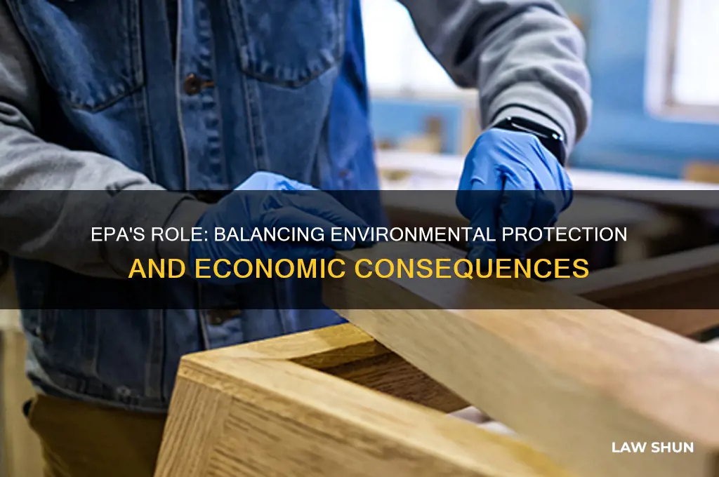 does the epa monitor the economic impacts of environmental laws