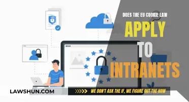 Cookie Law Compliance: Intranets and the EU