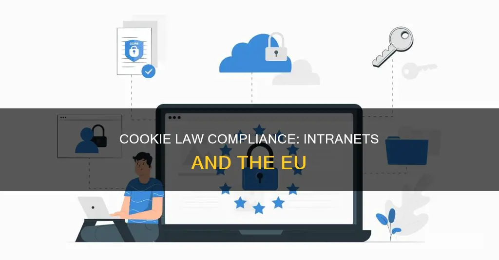 does the eu cookie law apply to intranets