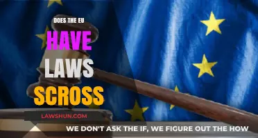 Understanding EU Laws: Do They Apply Across All Member States?