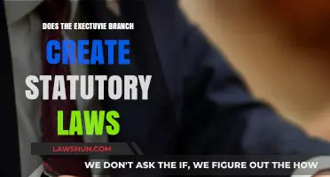 Who Creates Statutory Laws? Executive Power Explained