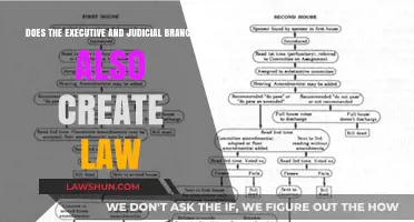 Executive and Judicial Branches: Lawmakers?