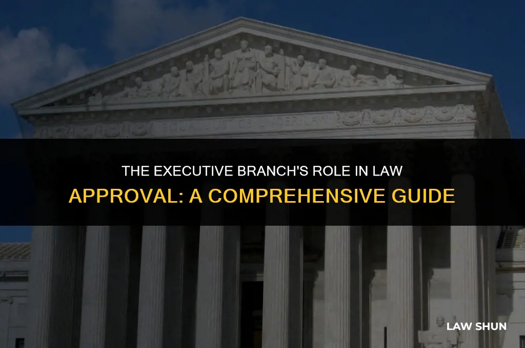 does the executive branch approve laws