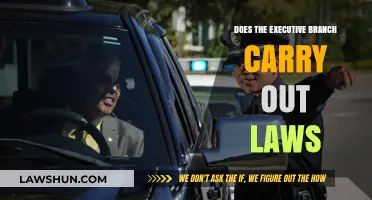 Executive Branch's Role: Enforcing and Implementing Laws in Practice