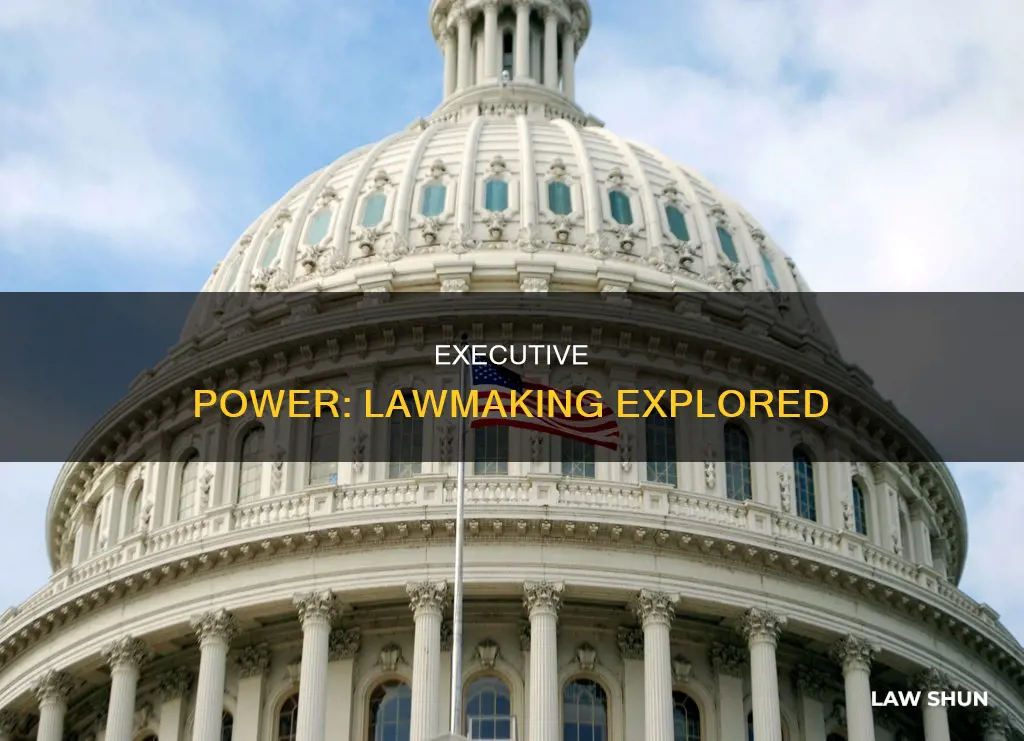 does the executive branch create laws