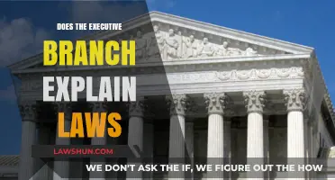 Decoding the Executive Branch's Role in Law Interpretation