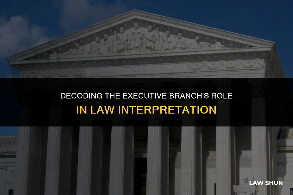 does the executive branch explain laws