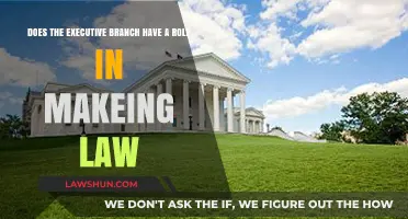 Executive Branch's Role in Lawmaking: Power, Limits, and Process
