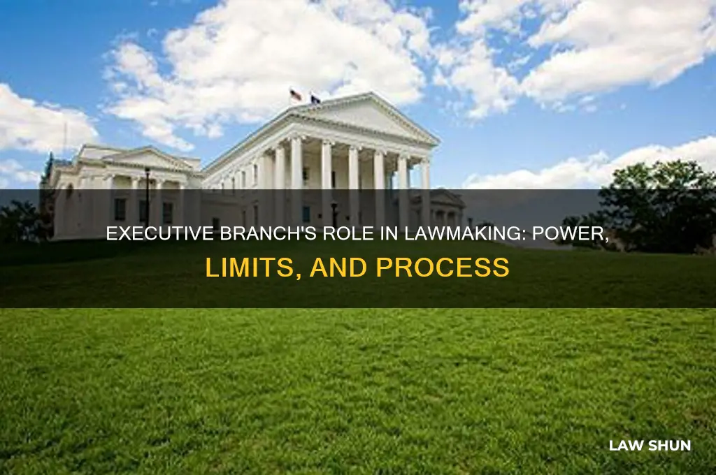 does the executive branch have a role in makeing law