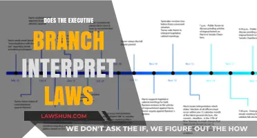 Exploring the Executive Branch's Role in Law Interpretation