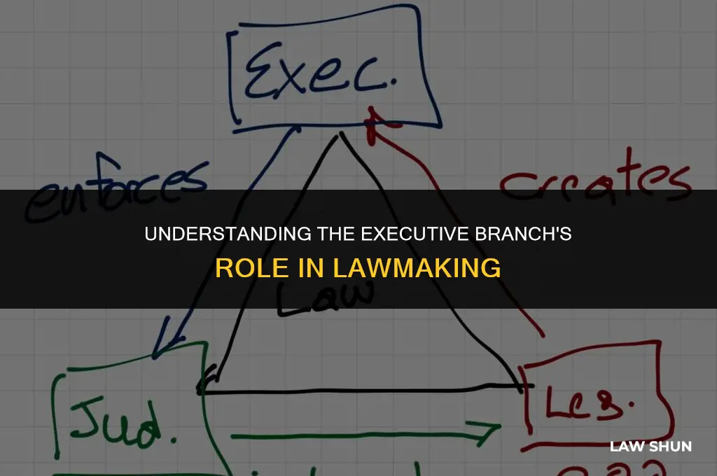 does the executive branch meke laws