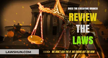 Executive Branch's Role in Reviewing and Implementing Laws Explained