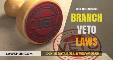 The Power of the Executive Branch: Can They Veto Laws?