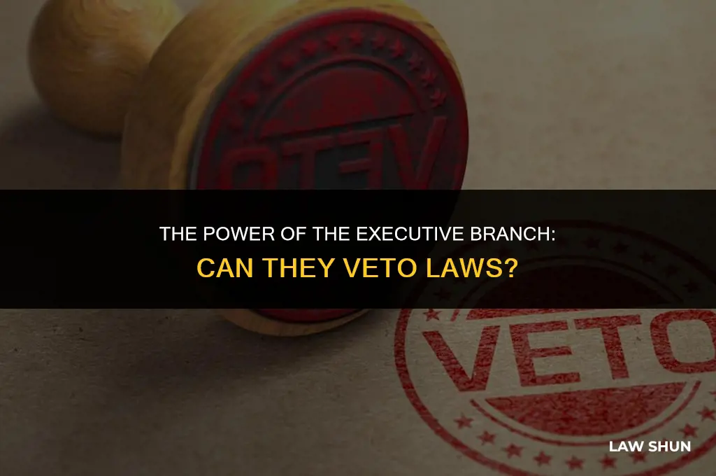 does the executive branch veto laws