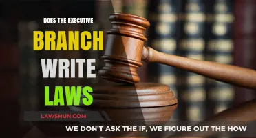 Does the Executive Branch Write Laws? Understanding the Separation of Powers