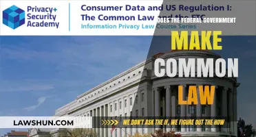 Federal Government and Common Law: Who Makes the Rules?
