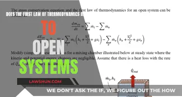 The First Law's Applicability to Open Systems