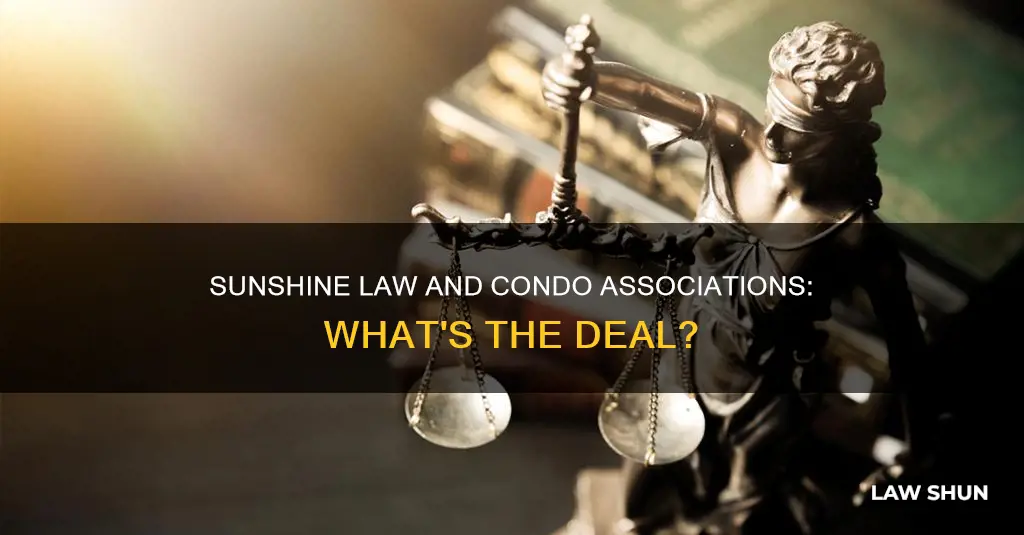 does the fl sunshine law apply to condo assoc