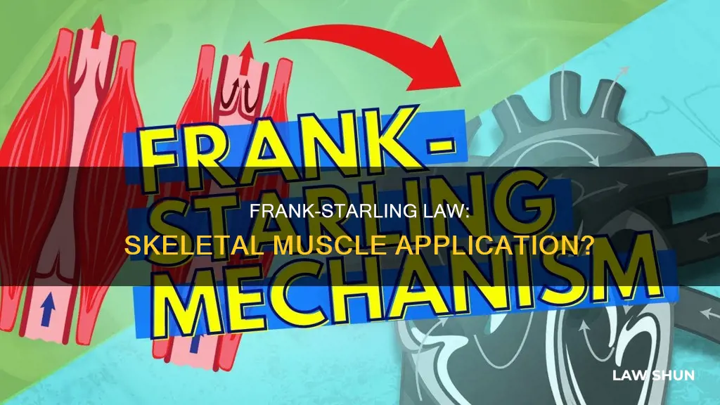 does the frank-starling law apply to skeletal muscles