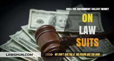 Government Revenue from Lawsuits: How Legal Settlements Fund Public Programs