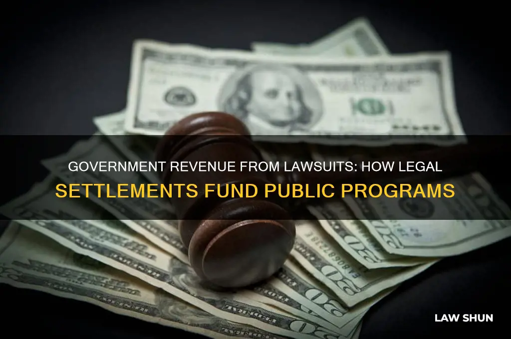 does the givernment collect money on law suits