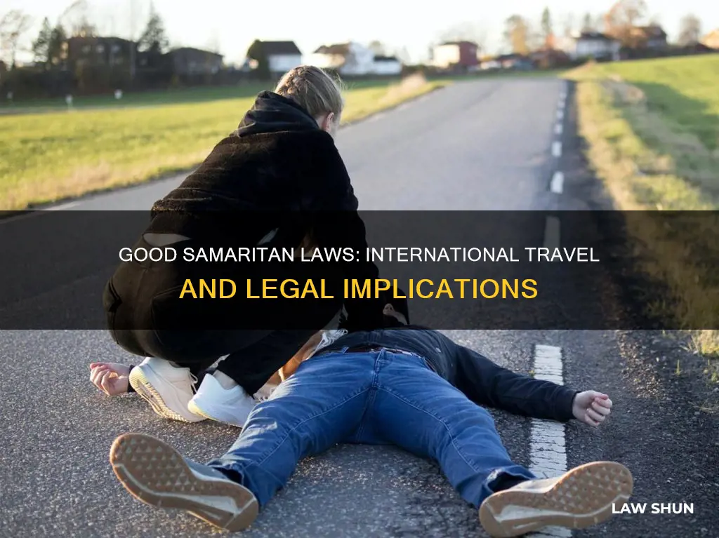 does the good samaratian law apply to international travel