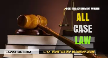 Case Law and Government: What's Missing?