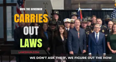 Does the Governor Enforce Laws? Understanding Their Role in State Governance