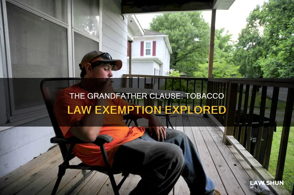 does the grandfather clause apply to the tobacco law