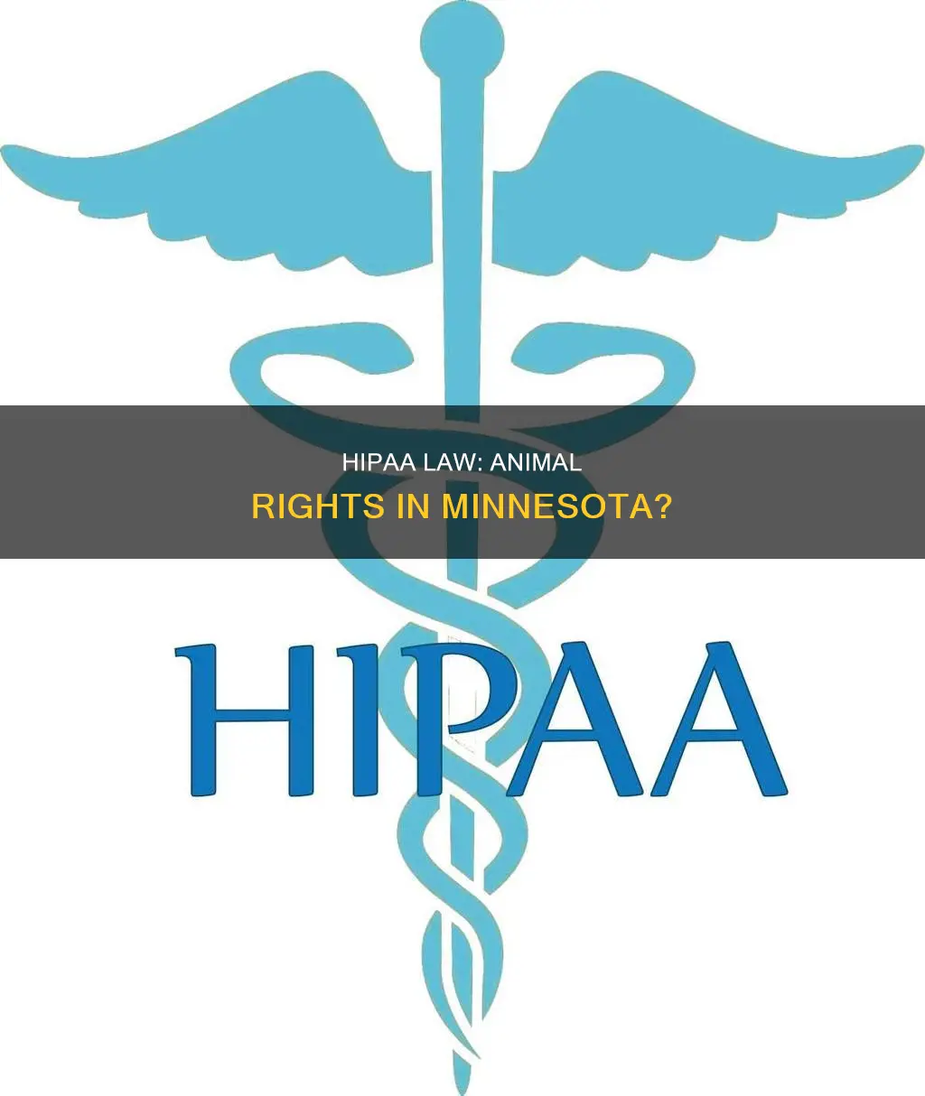 does the hippa law apply to animals in minnesota