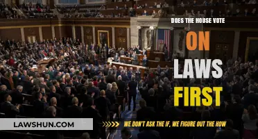Who Votes First on Laws in the US?