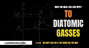 The Ideal Gas Law: Diatomic Gases Included?