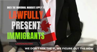 Understanding the Individual Mandate for Lawfully Present Immigrants