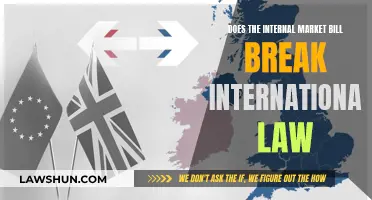 UK Internal Market Bill: Breaking International Law?