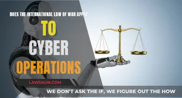 International Law: Cyber Warfare and Its Legal Complexities