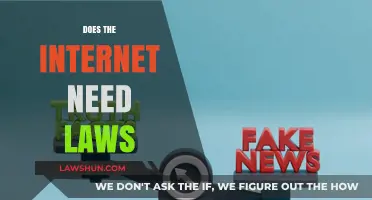 Regulating the Web: Exploring the Need for Internet Laws and Governance