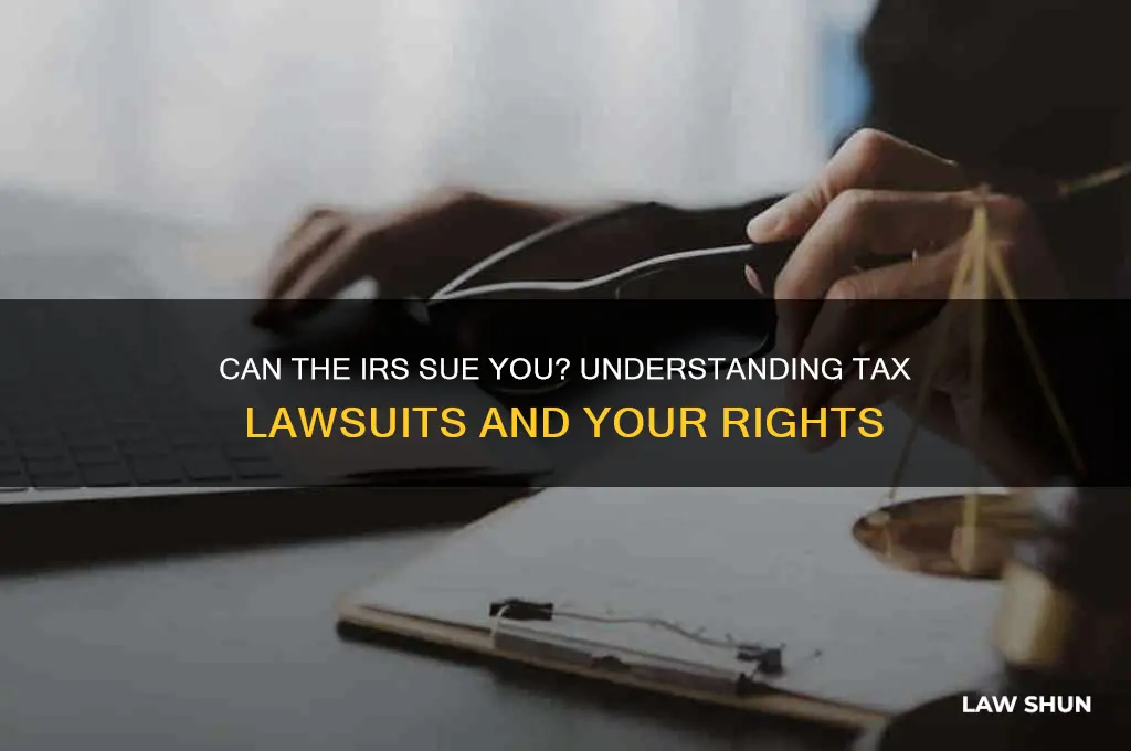 does the irs file law suits against you