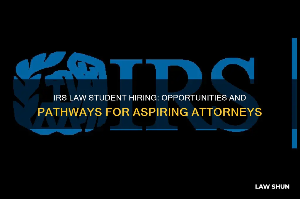 does the irs hire law students