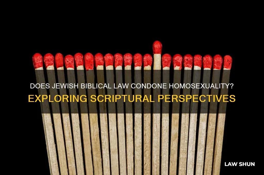 does the jewish law of the bible approve of homosexualityu