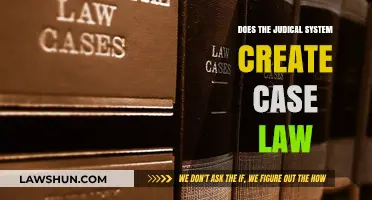 Case Law: Judicial System's Creative Power