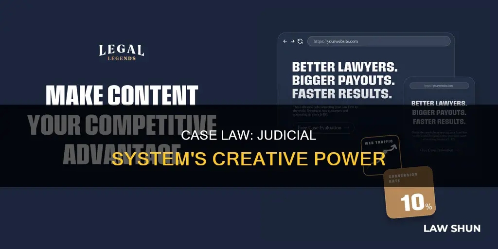 does the judical system create case law