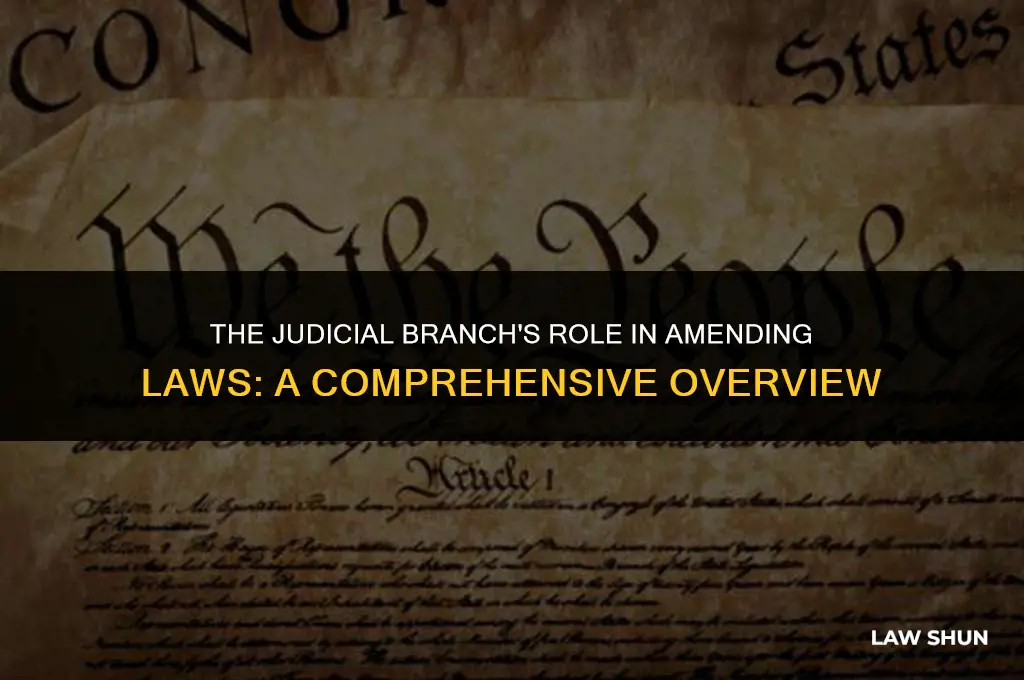 does the judicial branch amend laws