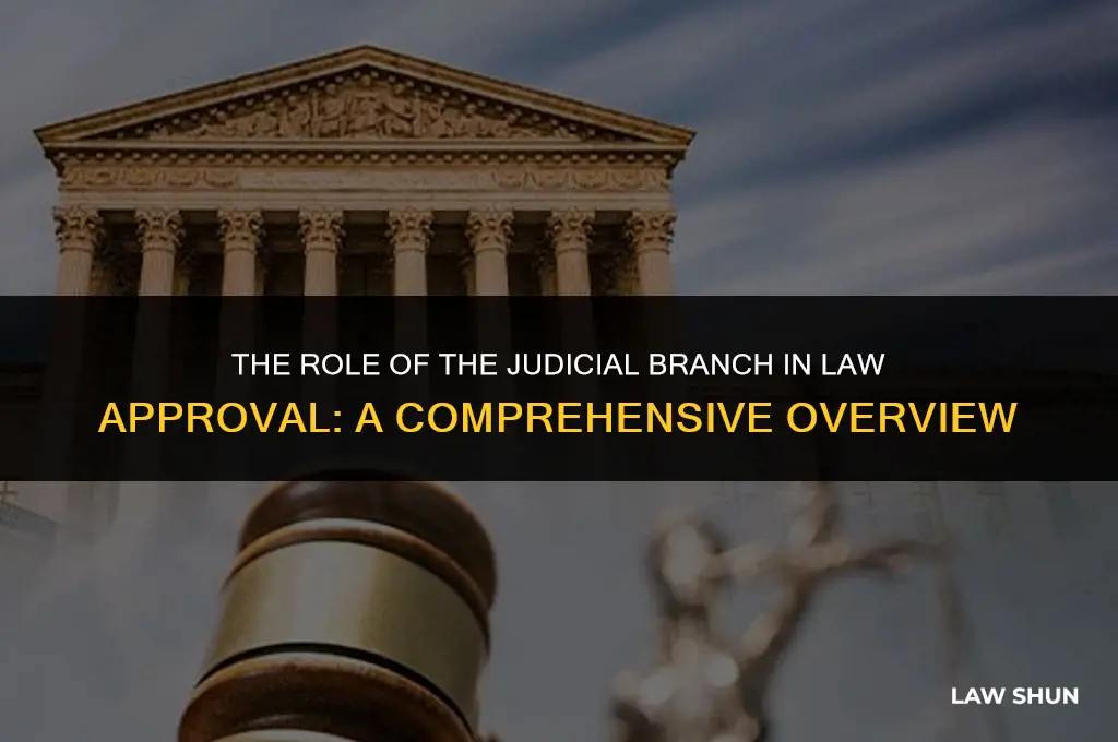 does the judicial branch approve laws