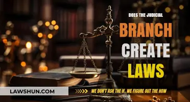 The Judicial Branch: Law Creators or Interpreters?