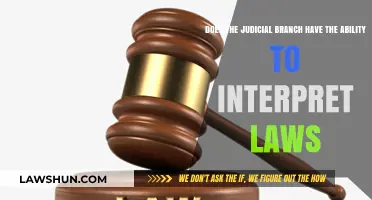 Judicial Power: Interpreting Laws and Shaping Legal Landscapes