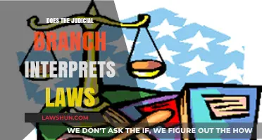 Exploring the Role of the Judicial Branch in Interpreting Laws