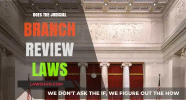 Judicial Review: How Courts Evaluate and Interpret Laws in Democracy